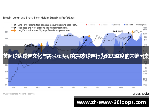 英超球队球迷文化与需求深度研究探索球迷行为和忠诚度的关键因素