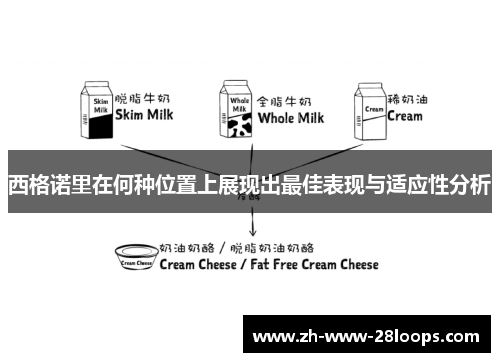 西格诺里在何种位置上展现出最佳表现与适应性分析