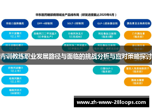 青训教练职业发展路径与面临的挑战分析与应对策略探讨 青训教练职业发展路径与面临的挑战分析与应对策略探讨